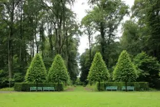 Tala y poda de árboles en altura, Murciay provincia